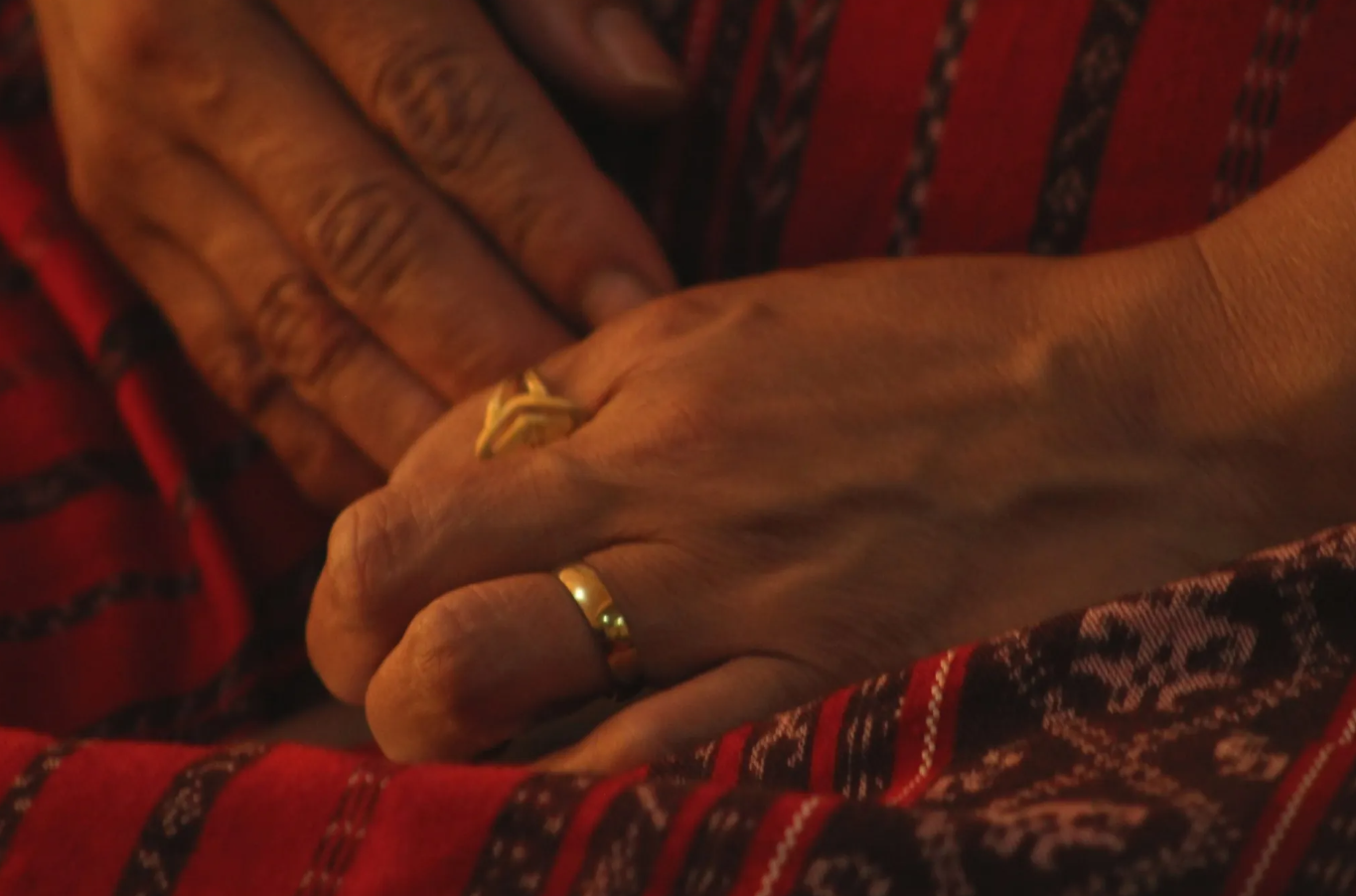  Foto: Celeste Mayorga 